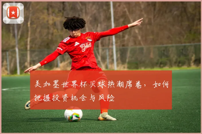 美加墨世界杯买球热潮席卷，如何把握投资机会与风险